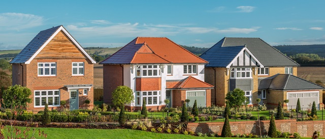 A row of modern detached houses with colourful roofs and well-maintained gardens, set against a rural landscape under a blue sky.