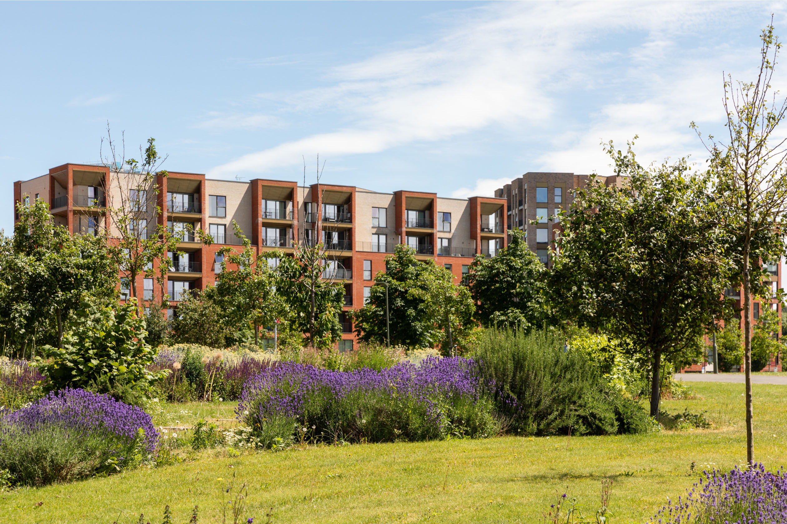 Colindale Gardens
