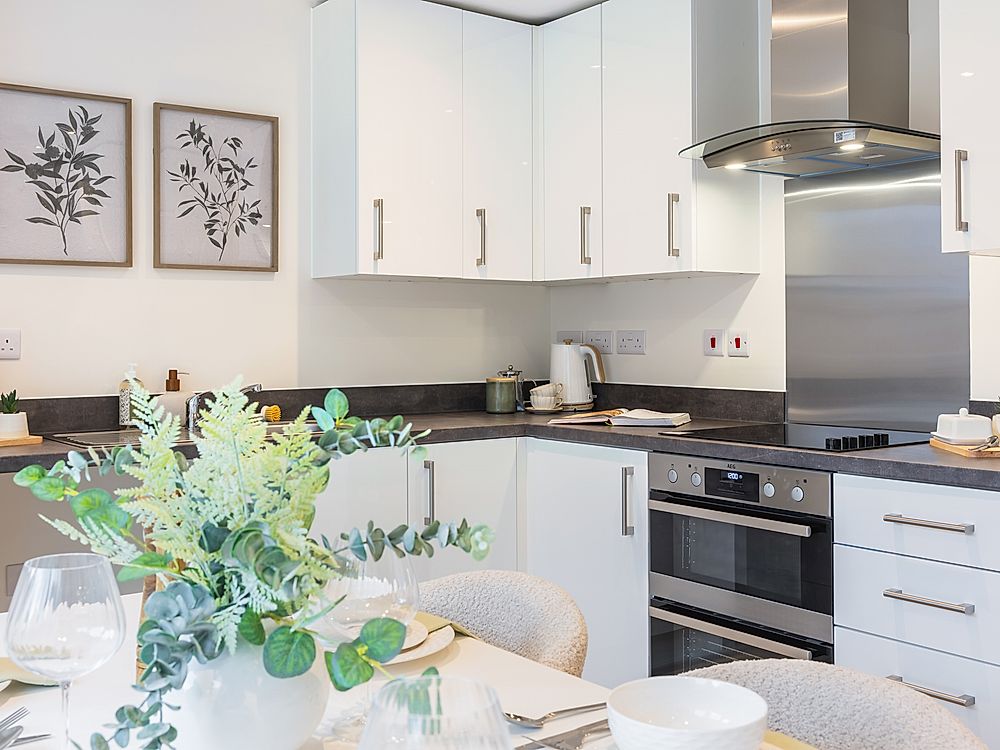 The Dart Kitchen