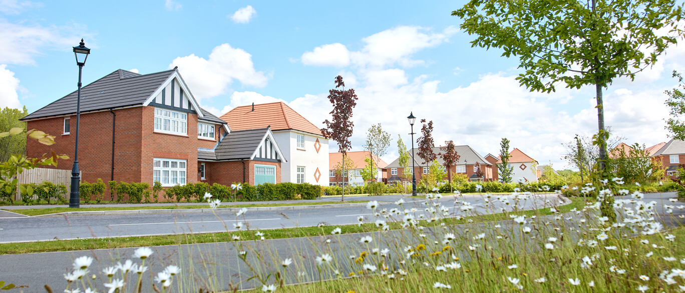 Modern residential houses with well-kept gardens on a sunny day with flowering plants in the foreground at Mill Green Meadows.