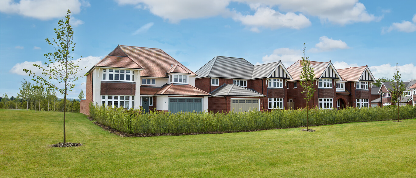 Modern residential development with large houses, green lawns, and newly planted trees under a partly cloudy sky at Mill Green Meadows.