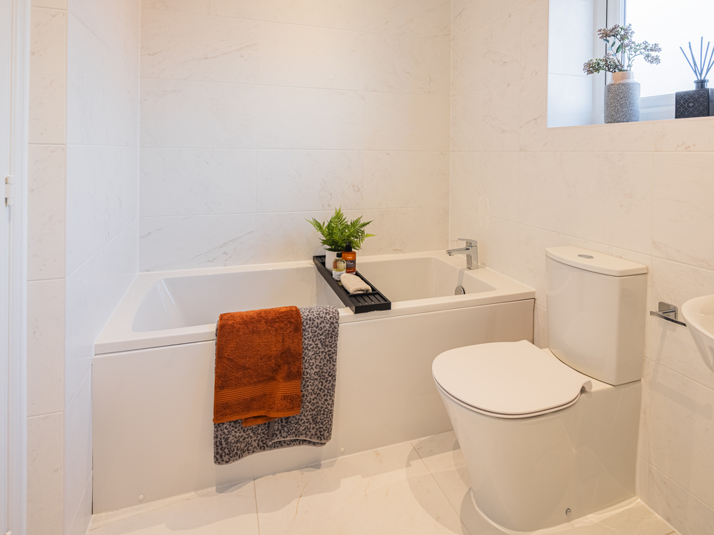 View 10