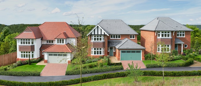 Crown Hill View, Conningbrook, Ashford