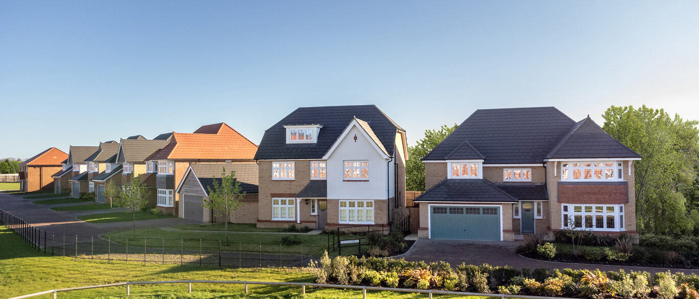 A row of modern detached houses with varied roof designs and colours, set in a lush green landscape under a clear blue sky at Tudor Meadow.
