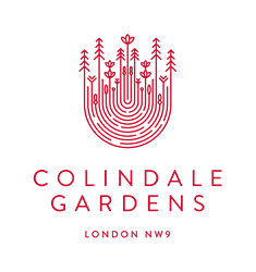 collingdale-logo-dev-gold