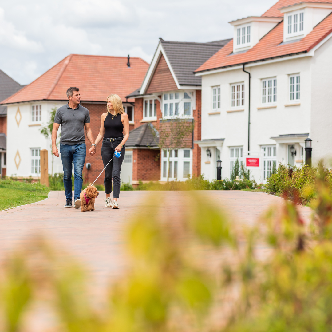 Couple walking the dog