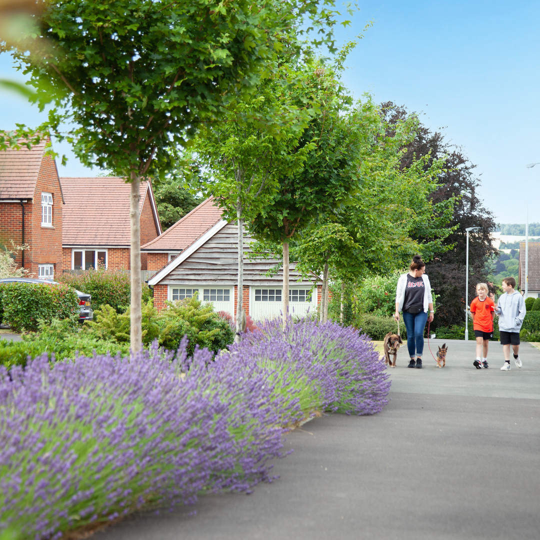 Family walking the dog in Saxon Ridge