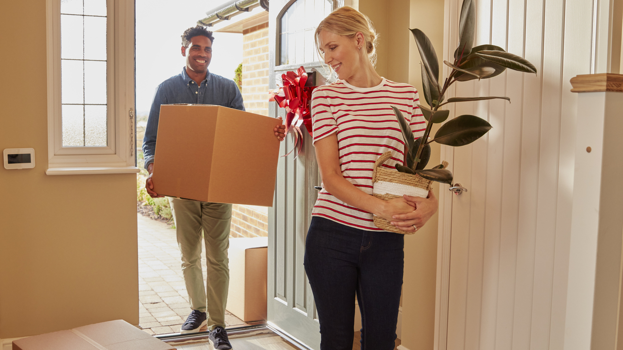 Couple moving into their new home. One person is carrying a plant and the other a large box.