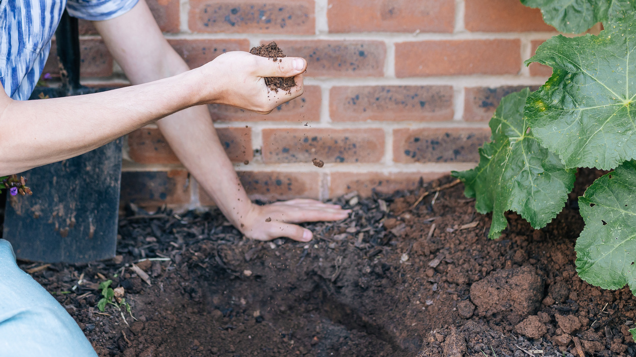 Hands, soil and a spade