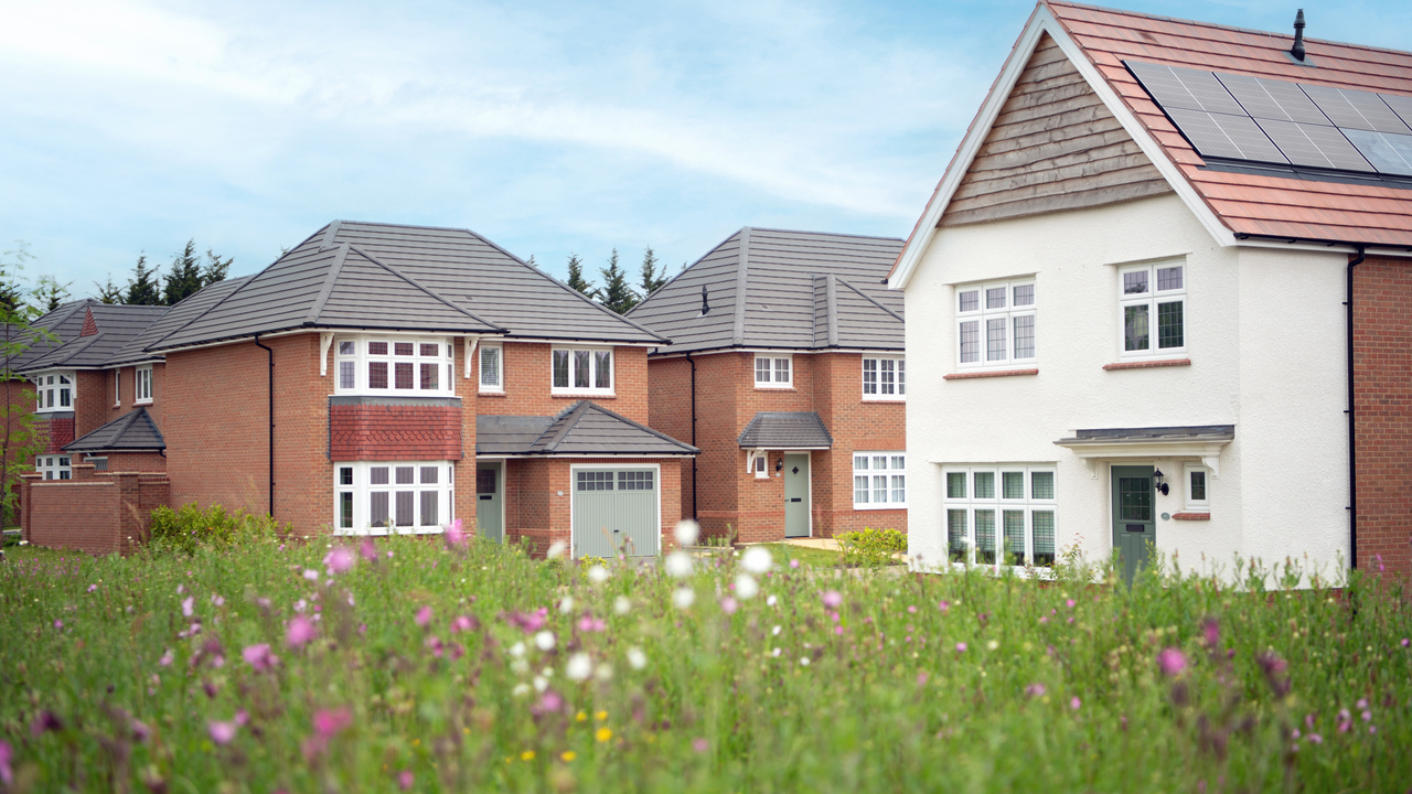 Attractive houses behind a grass field filled with wild flowers
