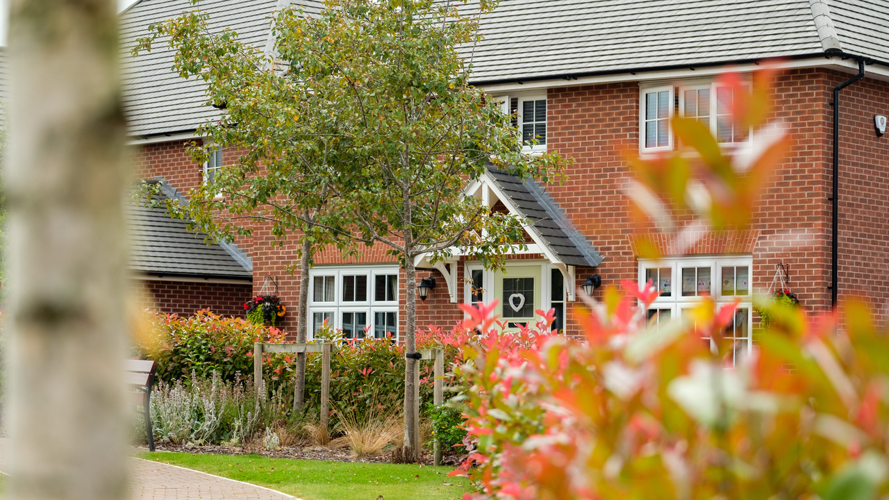 Red brick house behind a hedge and a tree