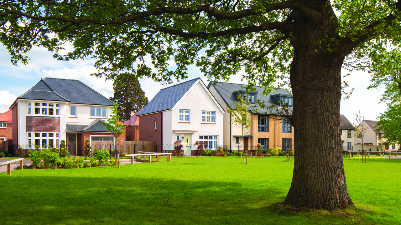 Large tree in a grassy area surrounded by houses of different styles