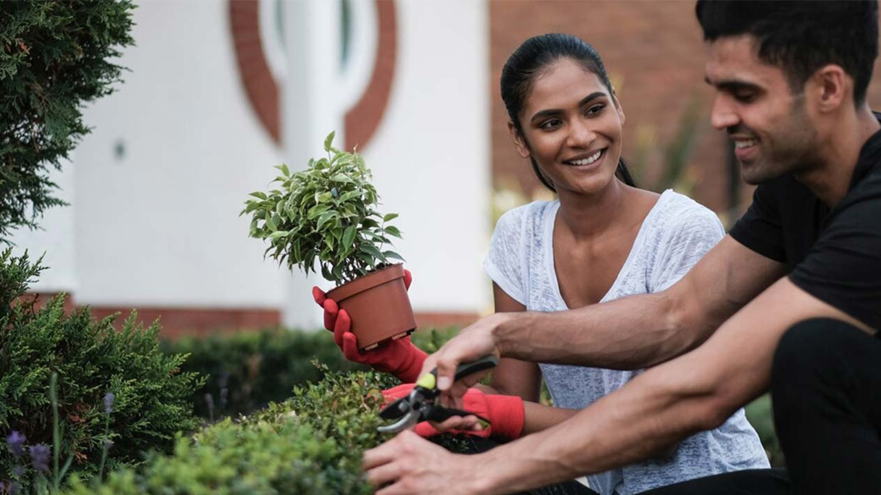 Happy couple gardening together