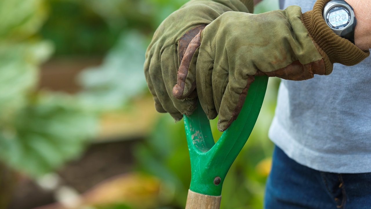 Gloved hands holding the handle of a spade
