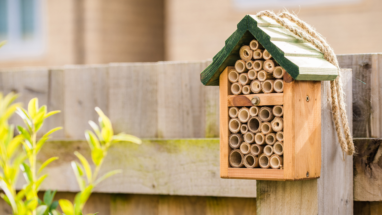 Bee house attached to a fence
