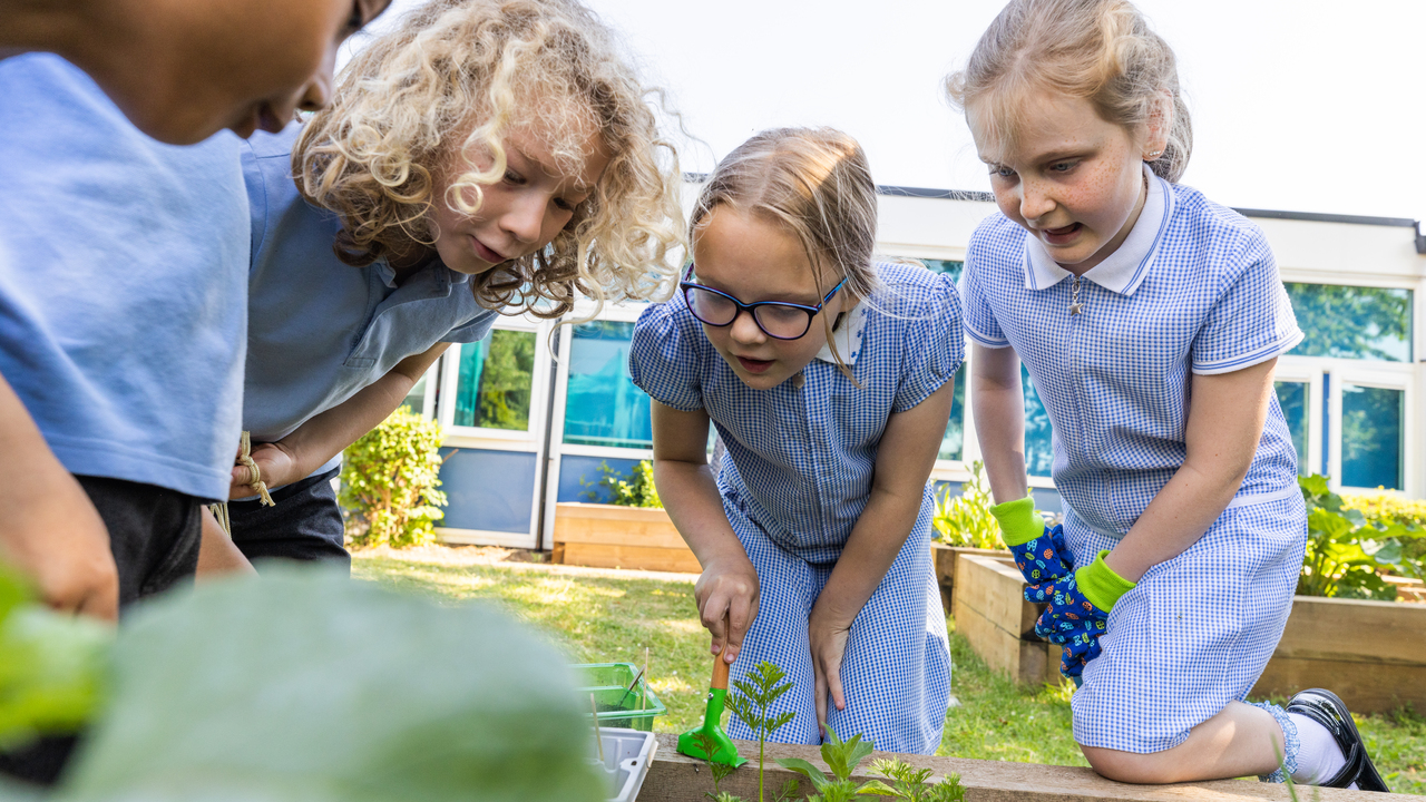 Children in school uniform looking down at some small plants