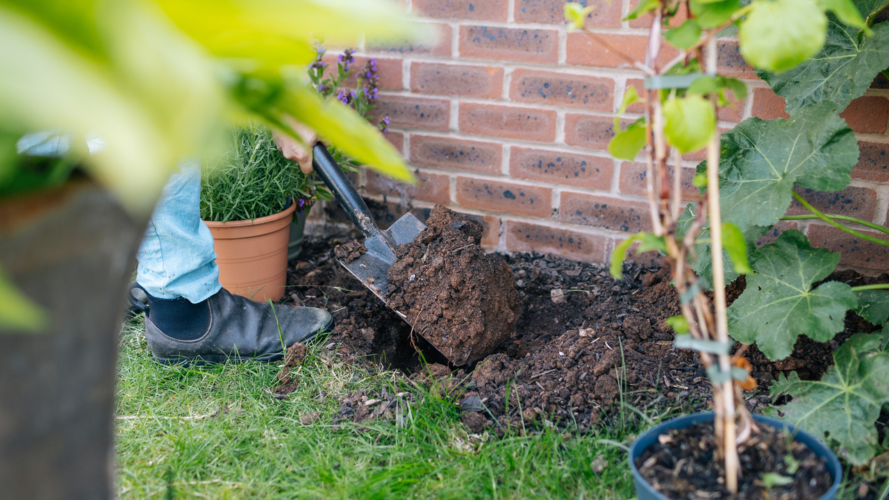 Person using a spade to dig a hole in their garden