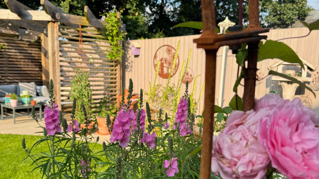 Back garden with pergola and pink flowers in full bloom