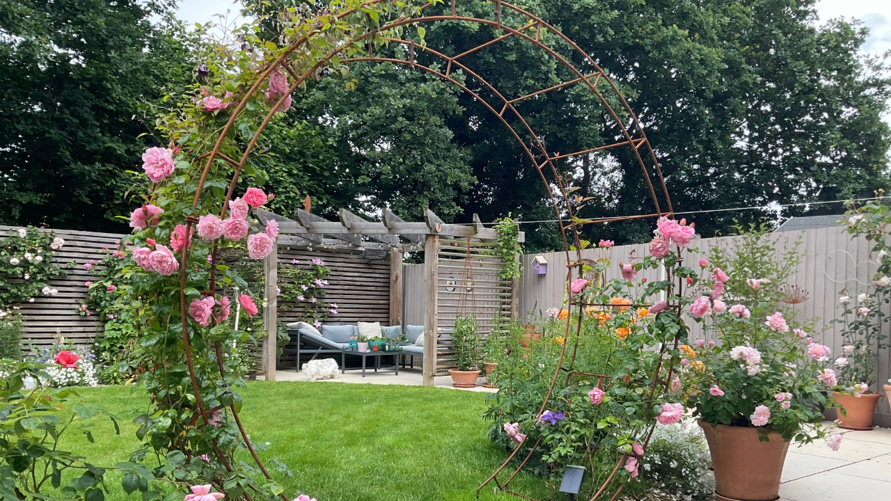Round garden arch covered in climbing roses