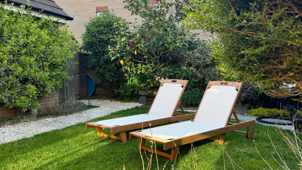 Two sun loungers on a lawn