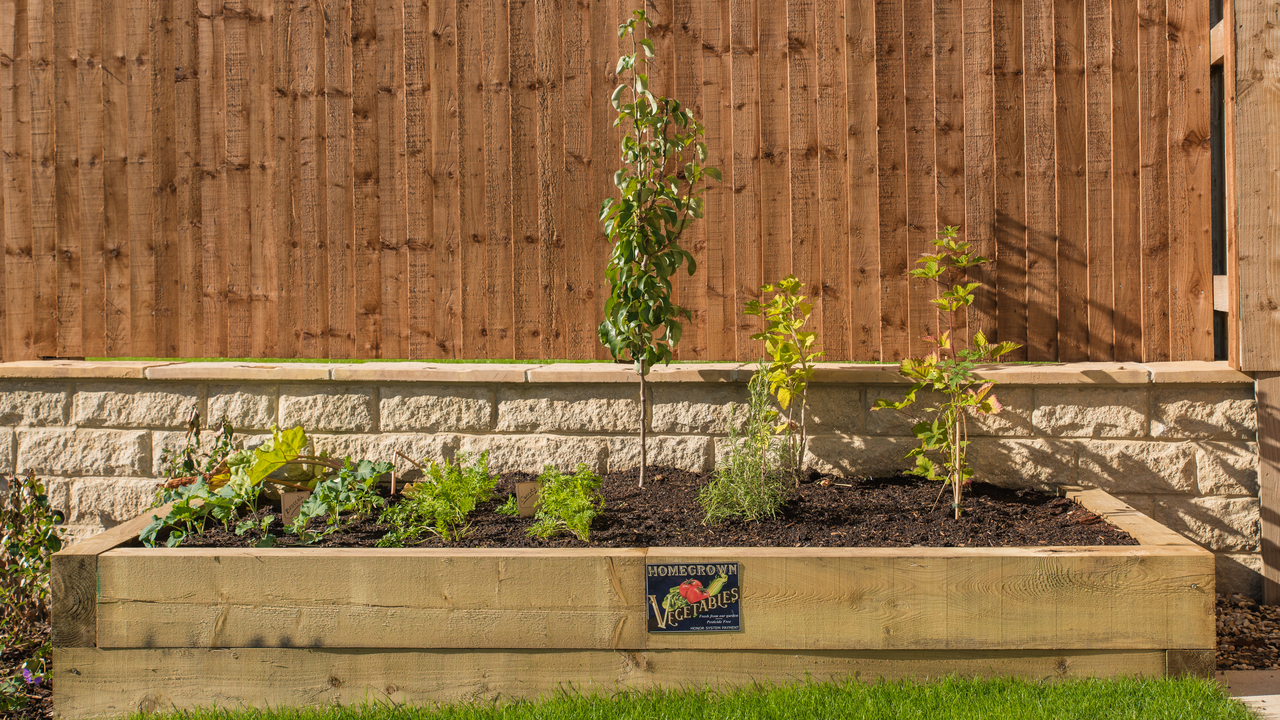 Vegetable garden in a raised bed