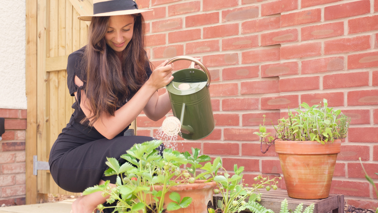 Woman using a green watering can to water potted plants