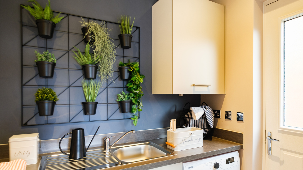 Wall rack displaying plants in a utility room