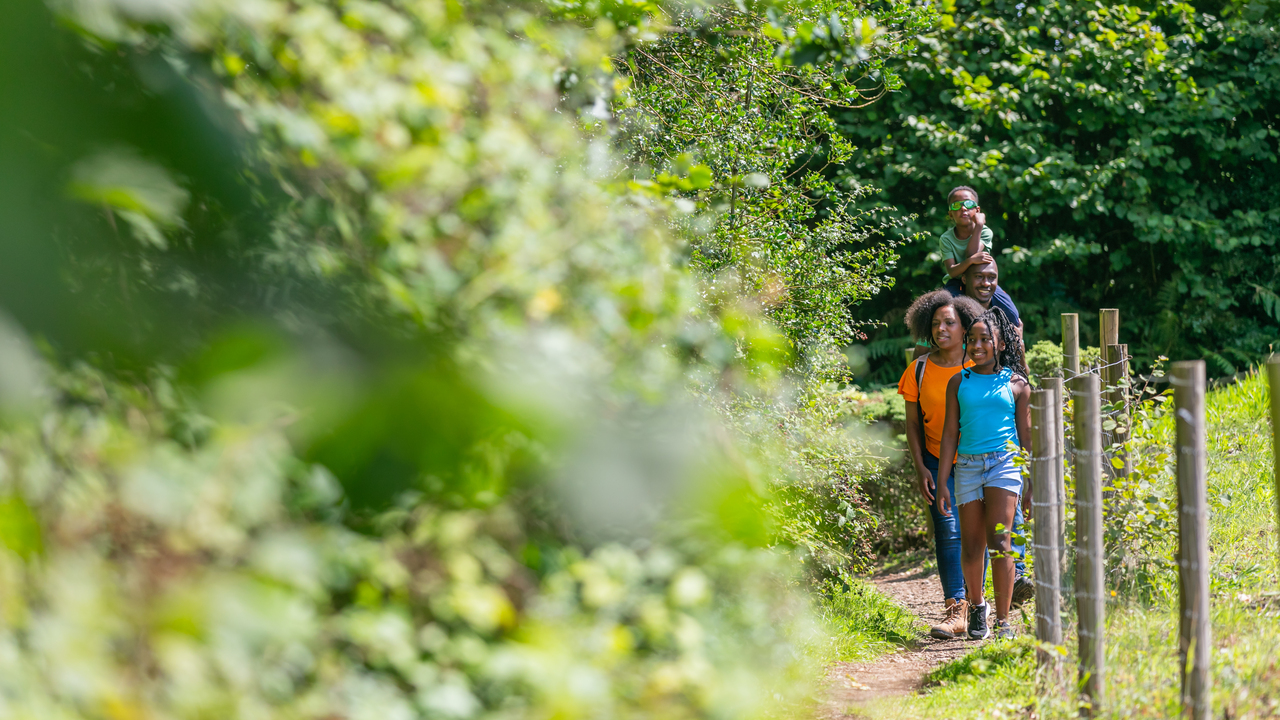 Family on a summer walk in nature