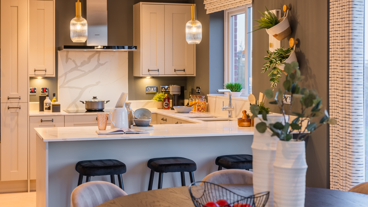 Kitchen and dining area with plants hanging on the wall