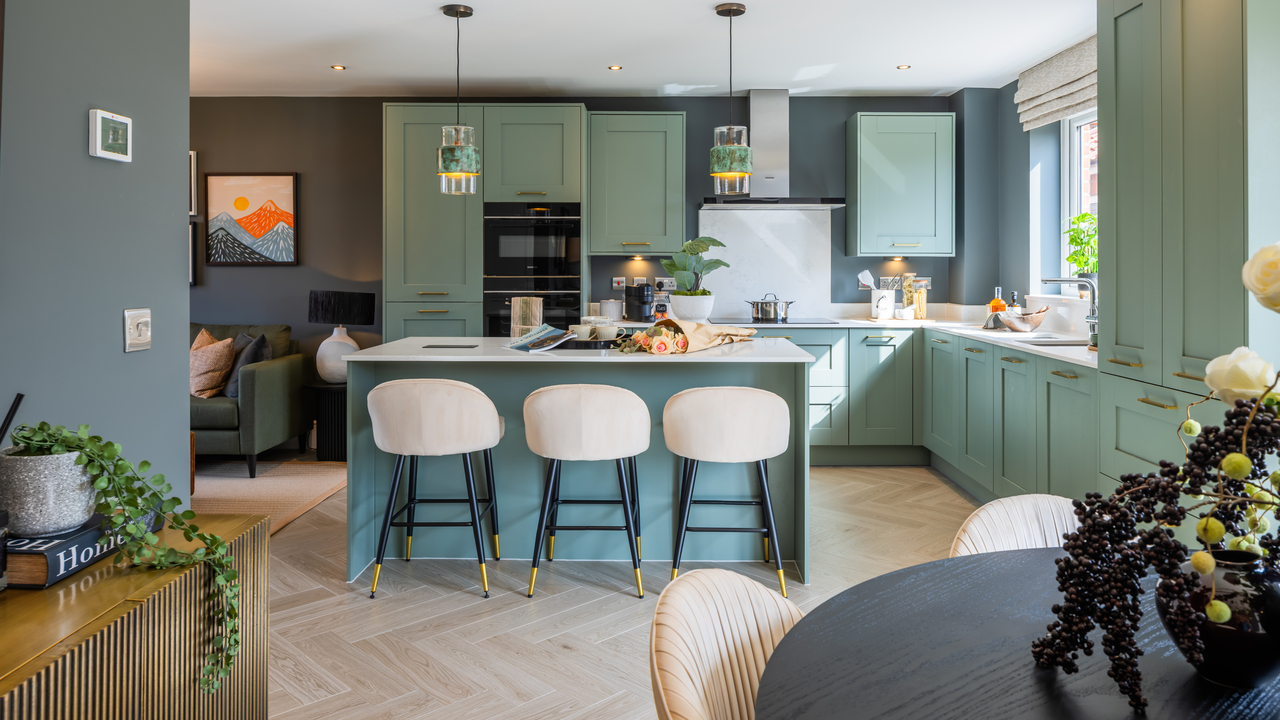 Cosy living kitchen dining area with green and blue colour scheme