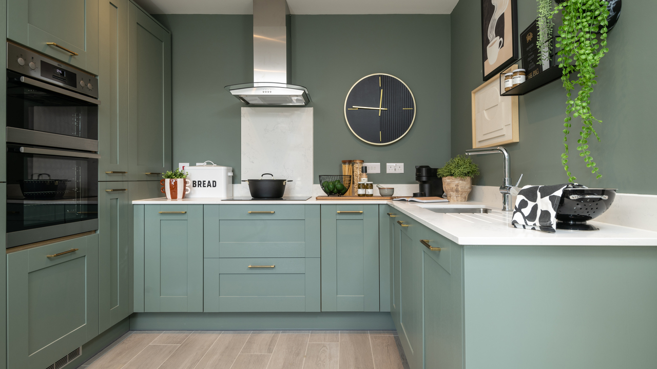 Monochromatic colour drenched kitchen with matching green walls and units