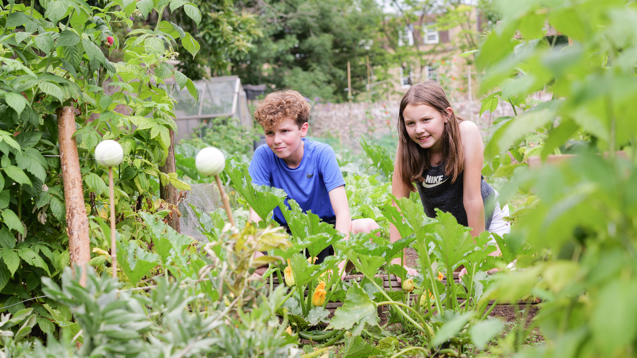 Children working in an allotment in Frenchay Gardens in Bristol