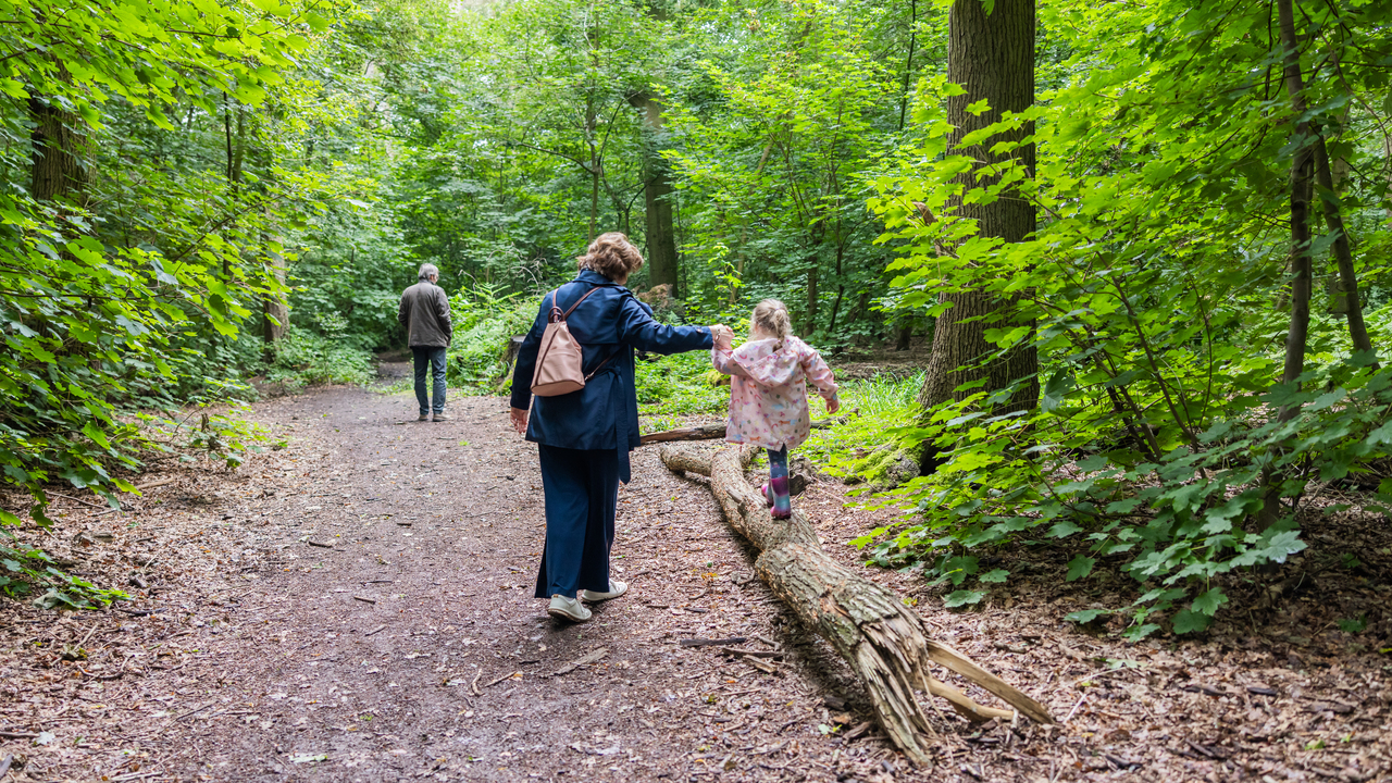 Grandmother holding a small girl's hand as she walks along a tree trunk