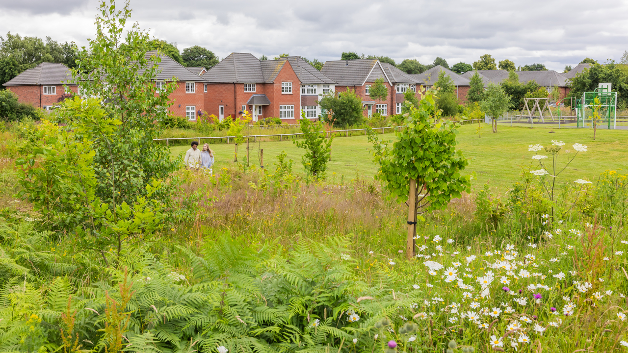 Green area next to a Redrow development, with wild flowers, young trees and a children's play park