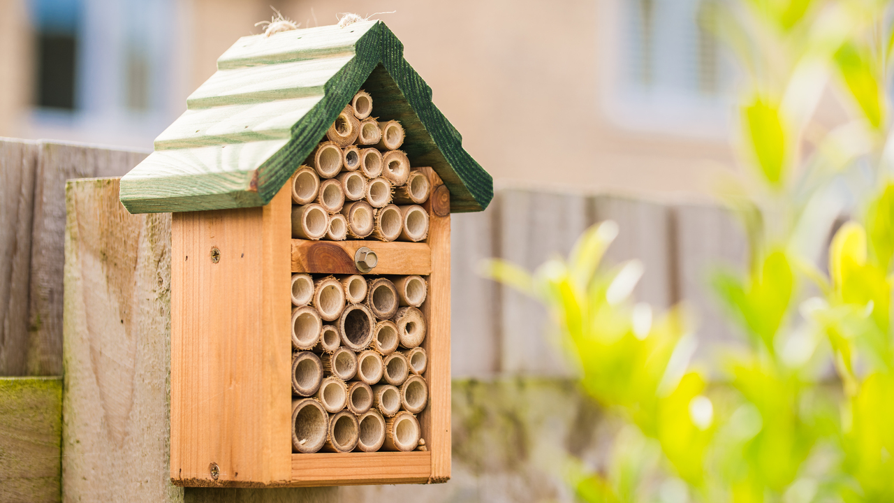 Bug hotel mounted on a fence