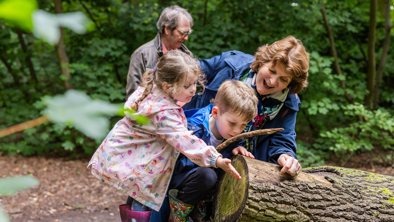 Grandparents and children looking at a log in the woods
