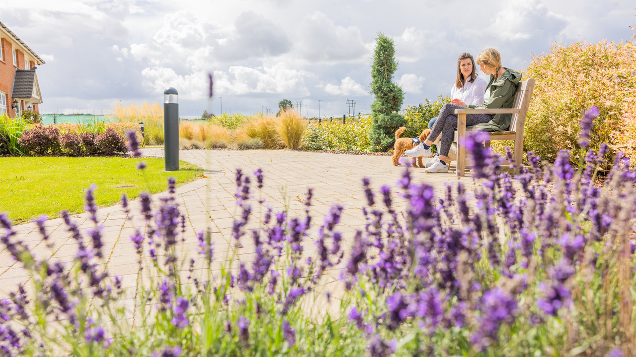 Two people sat on a bench by a lavender plant