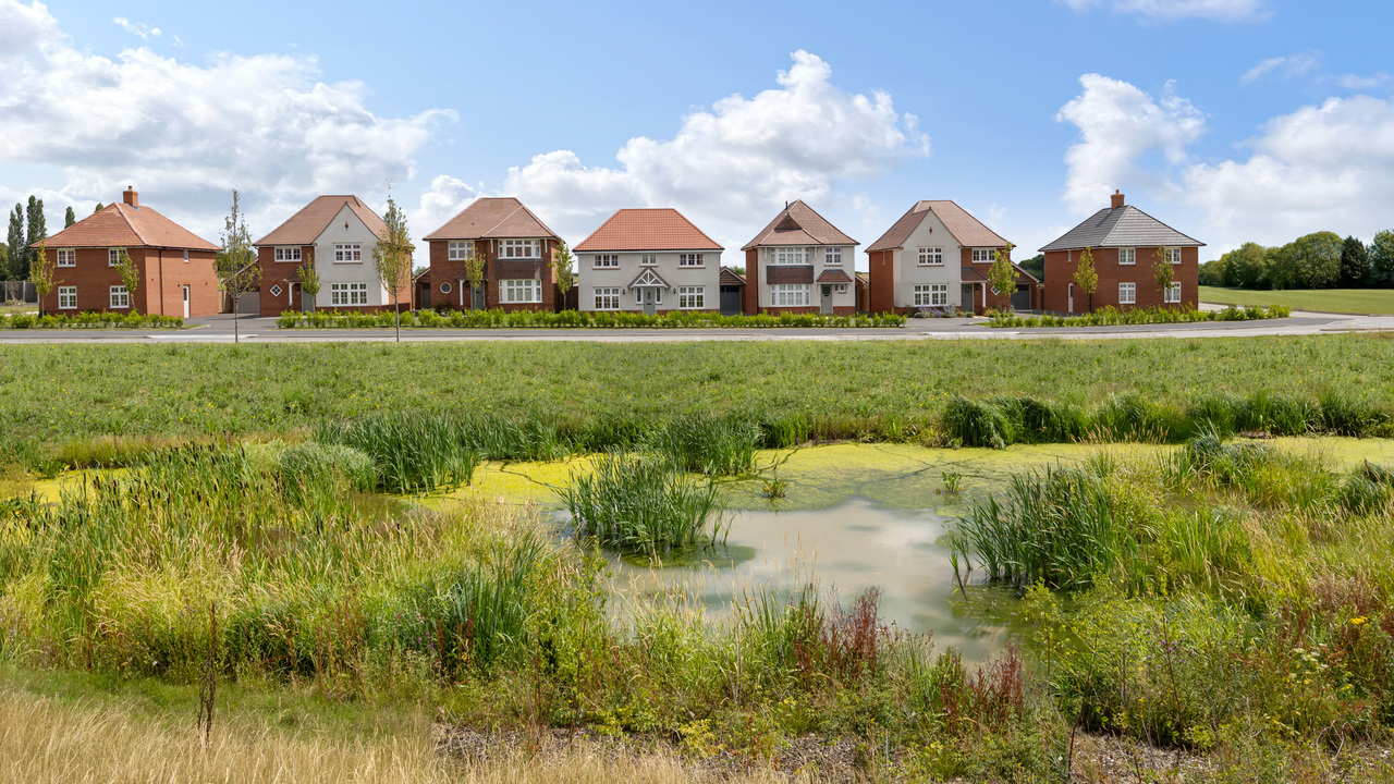 Row of Heritage homes by meadow