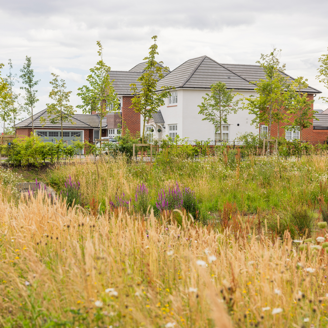 Gracefields Development